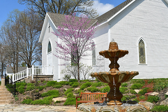 25.04.11 JLB Spring Blooms 5