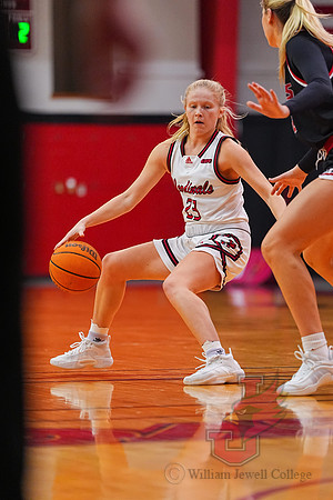 25.01.16 ATH WBB V Lewis 19