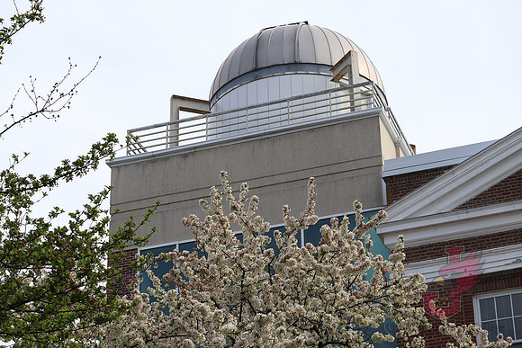 25.04.11 JLB Spring Blooms 26