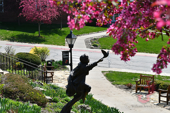 25.04.11 JLB Spring Blooms 1