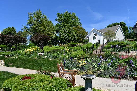 25.04.11 JLB Spring Blooms 37