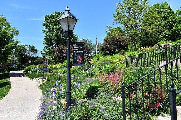 25.04.11 JLB Spring Blooms 39