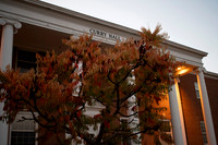 24.10.23 JLB Fall Foliage 3
