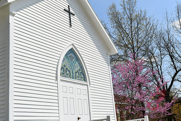 25.04.11 JLB Spring Blooms 3