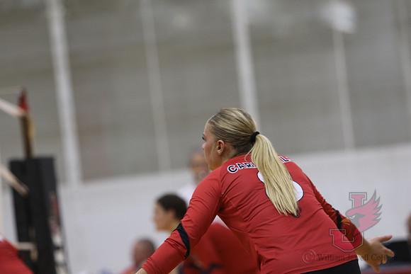 24.10.11 ATH VB V Missouri S&T20