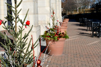 24.12.11 JLB Winter Scenes 2