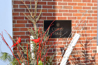 25.01.10 JLB Winter Scenes 7