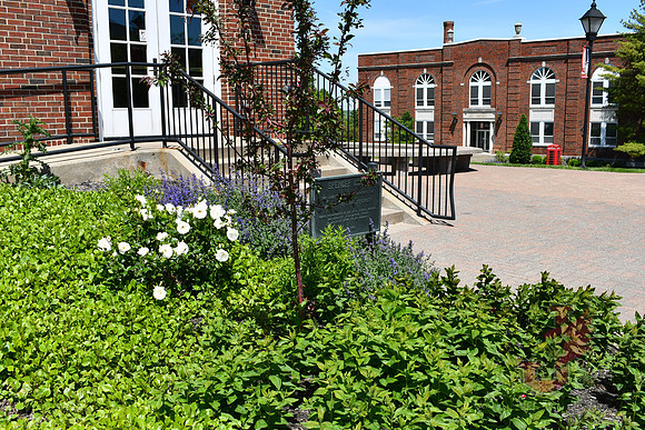 25.04.11 JLB Spring Blooms 45