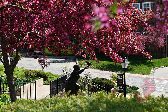 25.04.11 JLB Spring Blooms 2