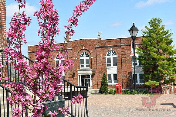 25.04.11 JLB Spring Blooms 18