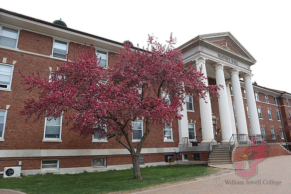 25.04.11 JLB Spring Blooms 22