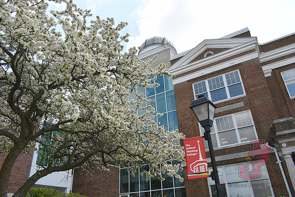 25.04.11 JLB Spring Blooms 13