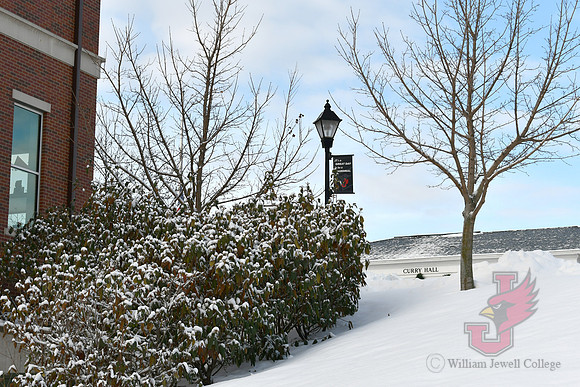 25.01.10 JLB Winter Scenes 9